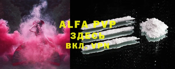 PSILOCYBIN Богородск