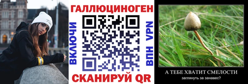 Псилоцибиновые грибы Psilocybe  хочу наркоту  Кирово-Чепецк 